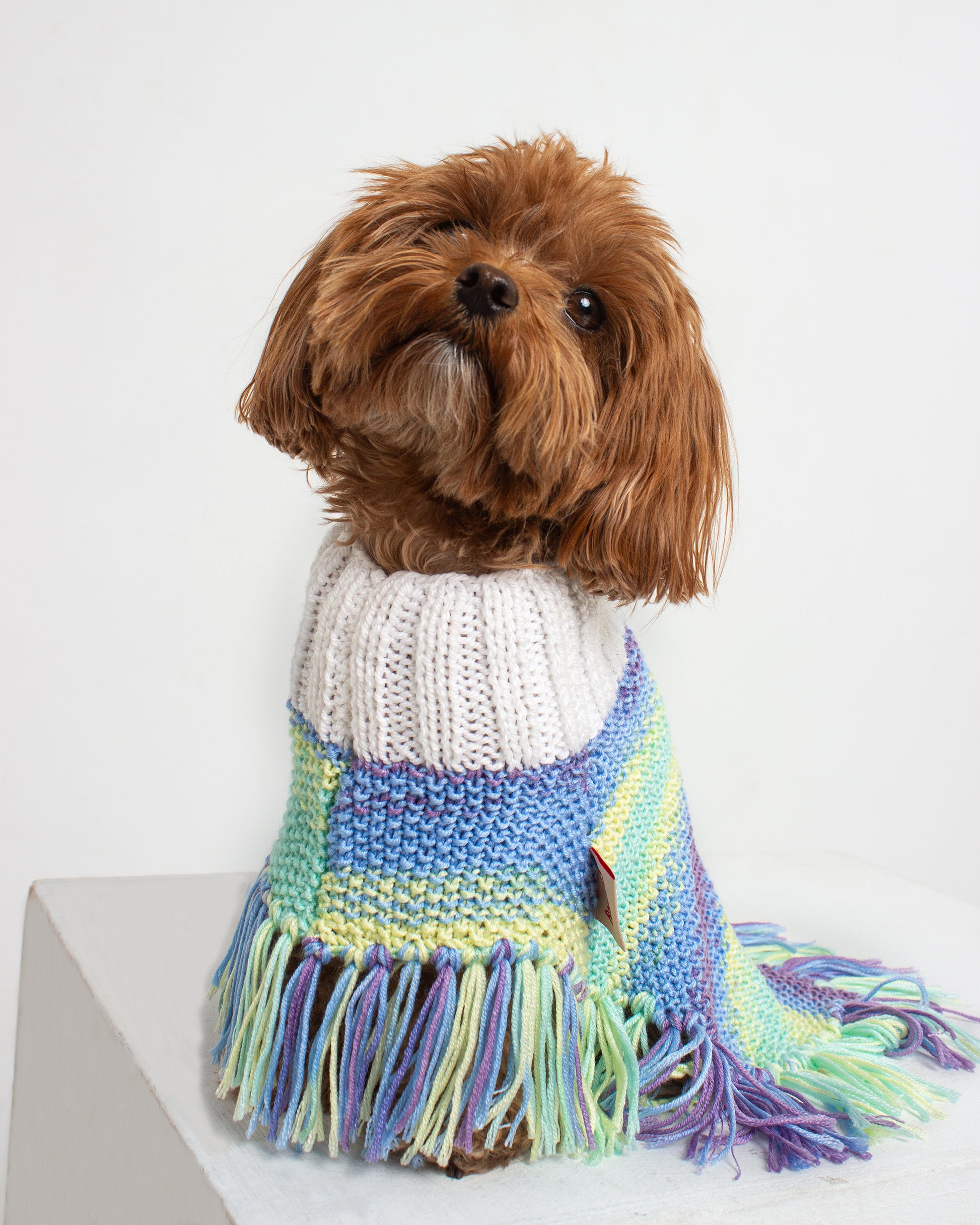 Ocean Dog Poncho
