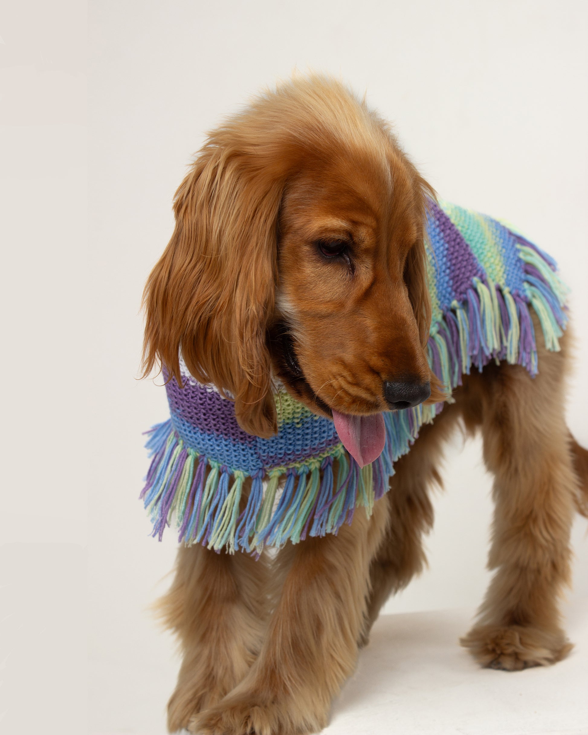 Ocean Dog Poncho