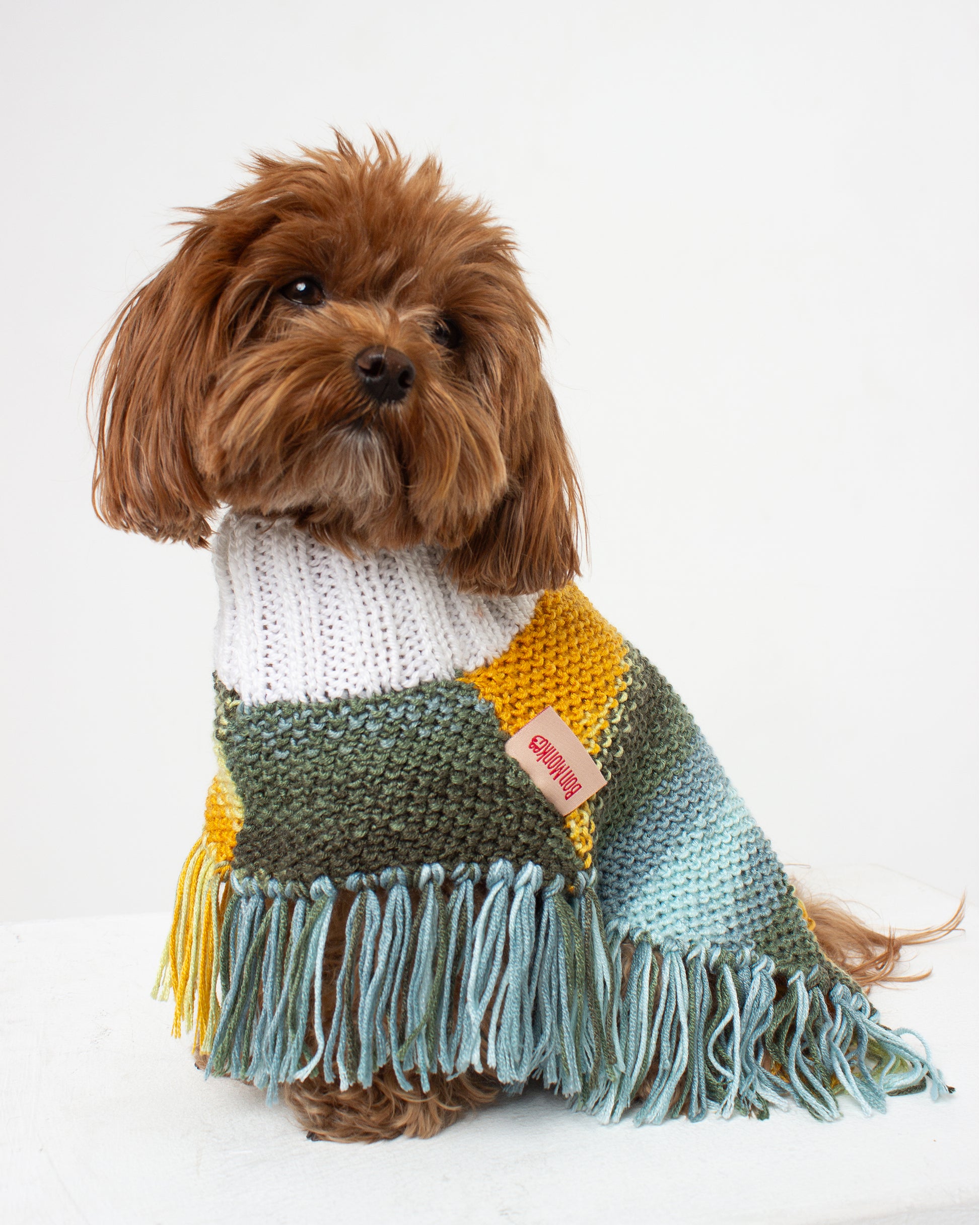Earth Dog Poncho