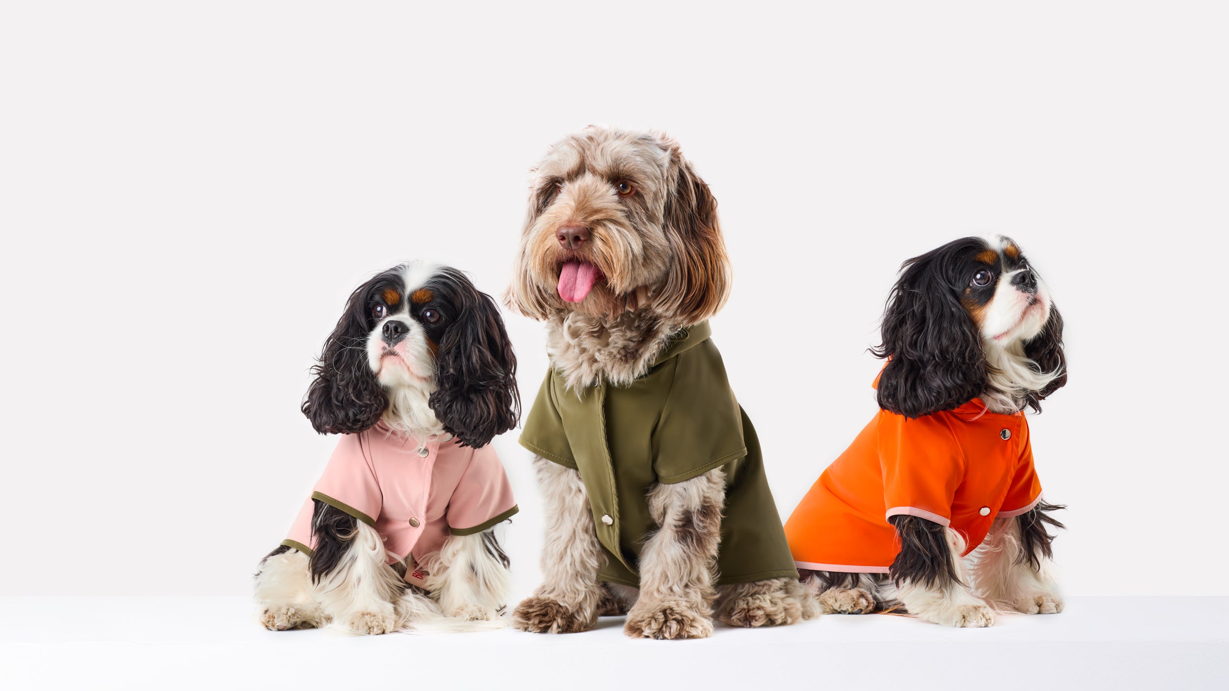 キャメル色　ボンゾー　ボンゾ犬　bonzo アンティーク　ソルト&ペッパー 希少 VINTAGE 1940s-50s BONZO DOG CERAMIC S＆P ヴィンテージ 英国