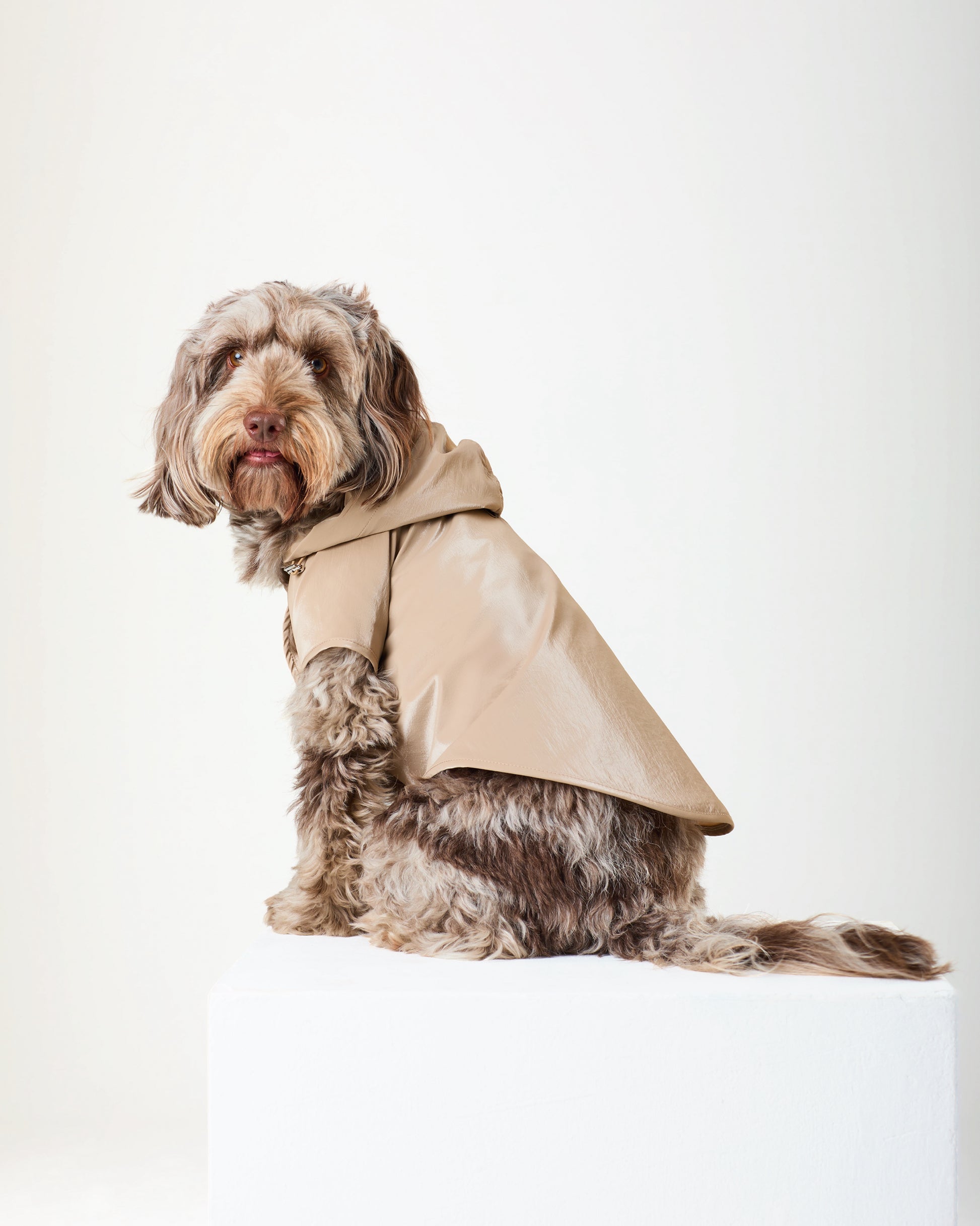 Ivory Raincoat