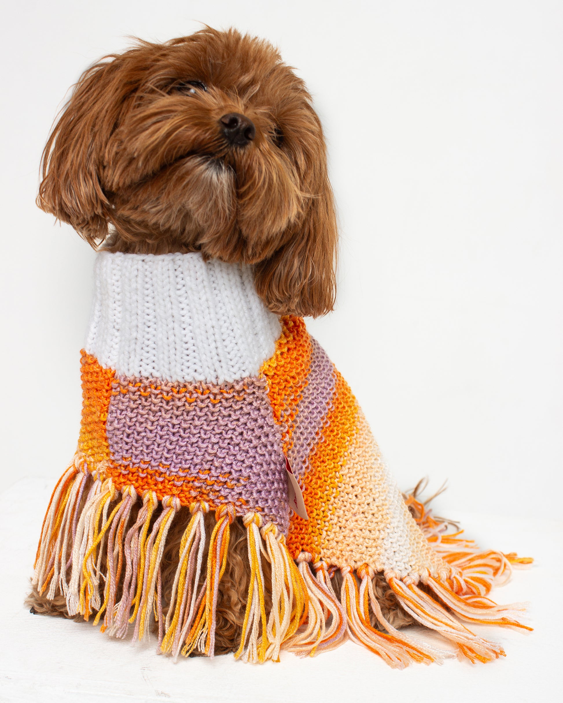 Sunset Dog Poncho