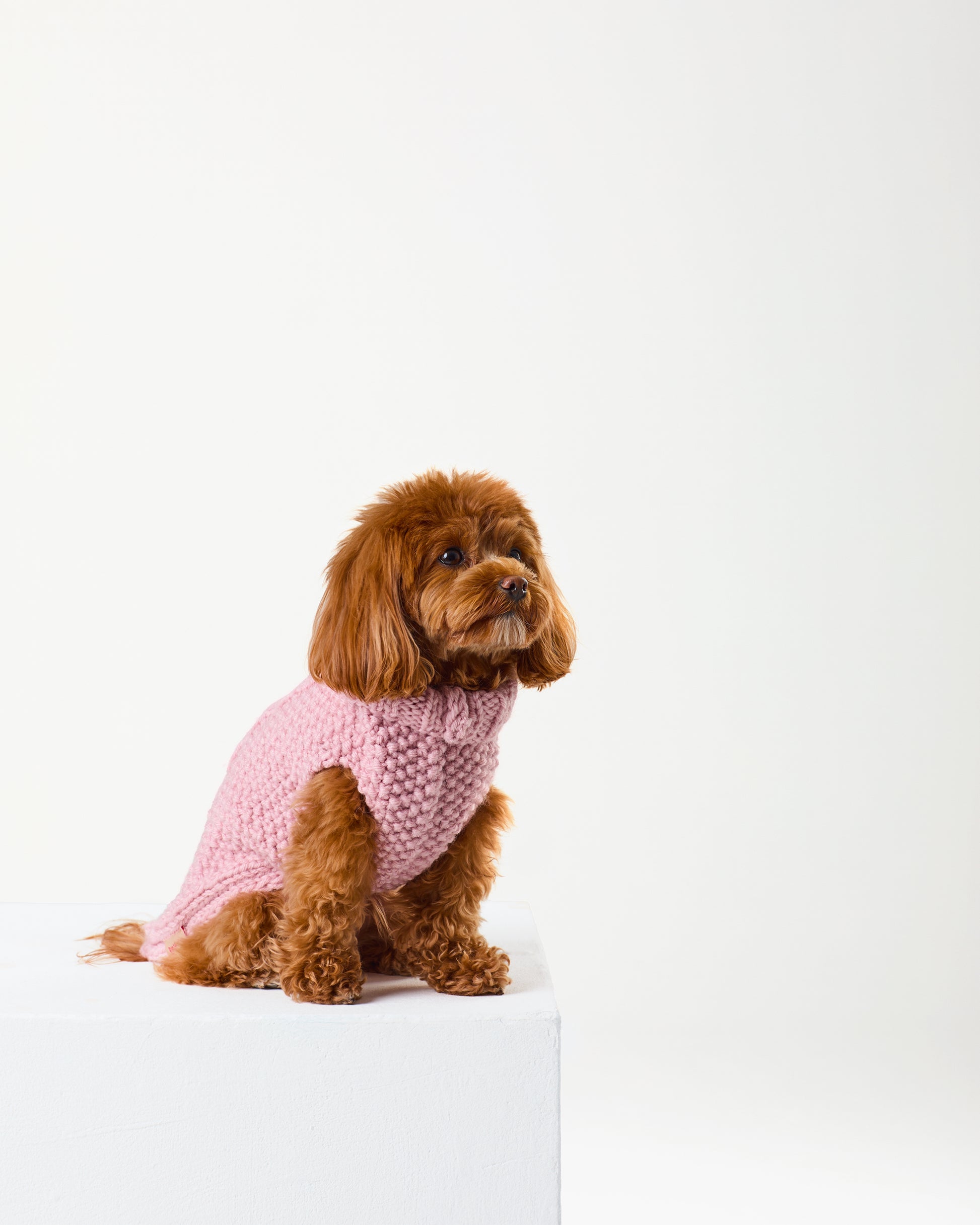 Rose Jumper