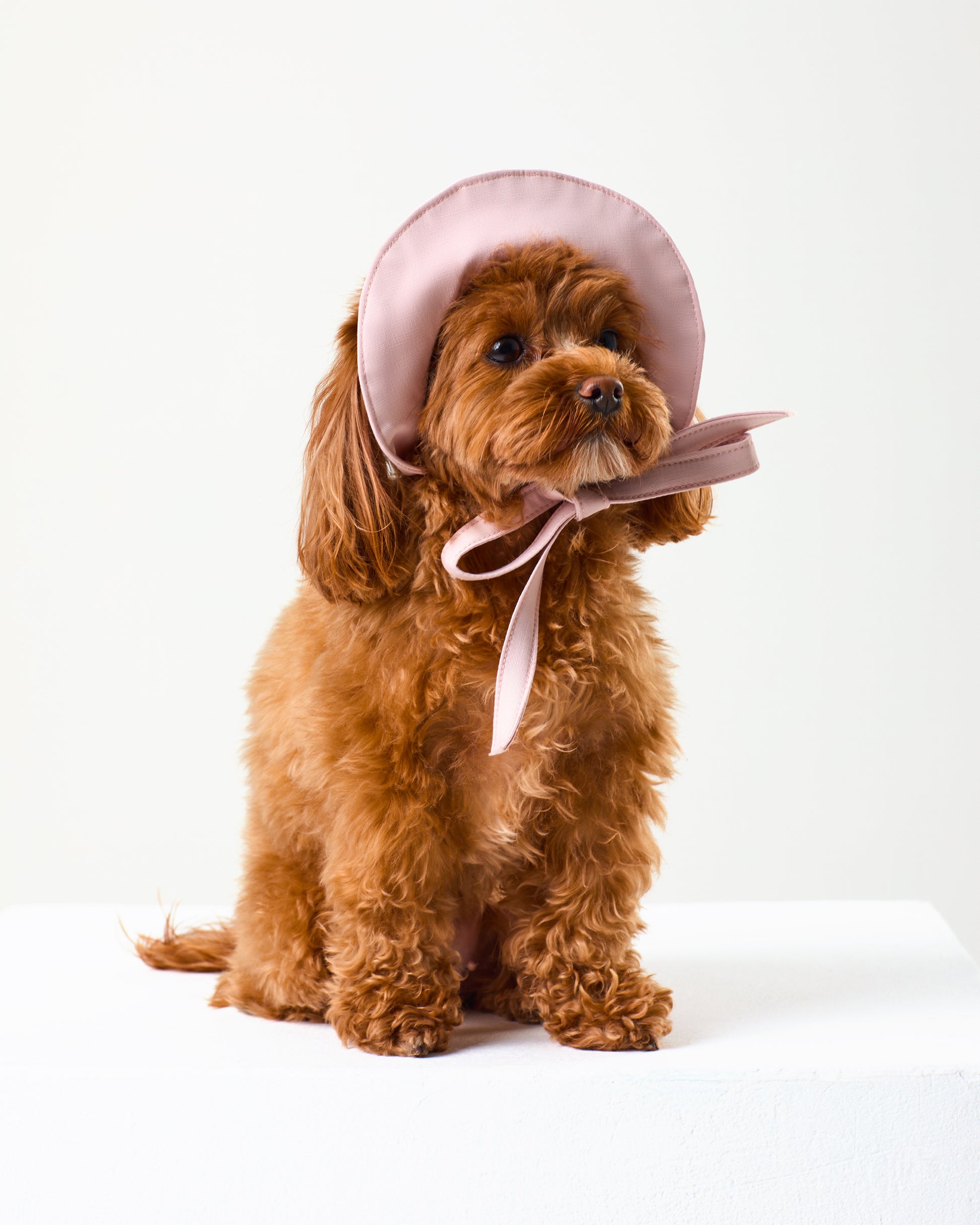 Pink Tennis Hat