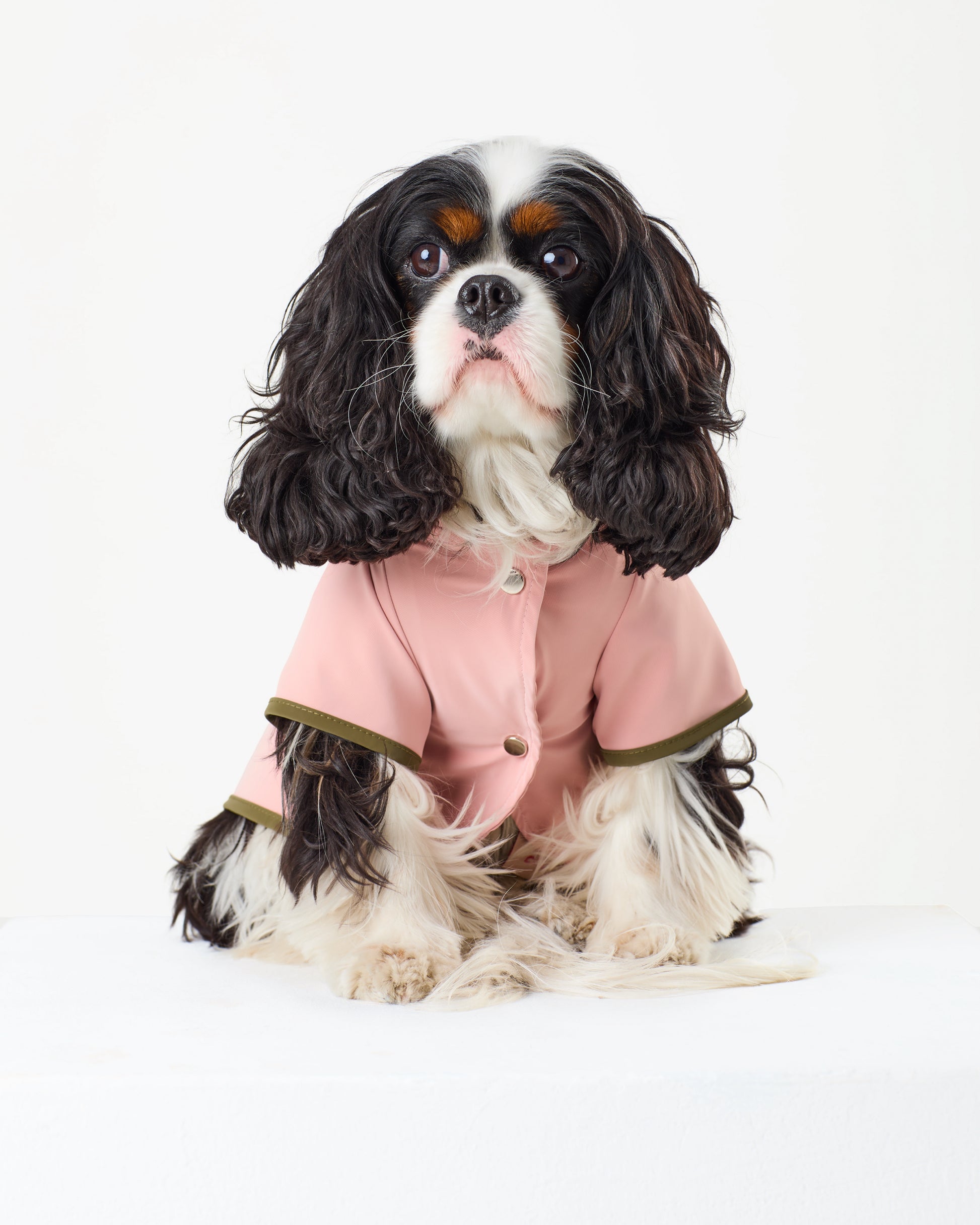 Bubblegum Raincoat