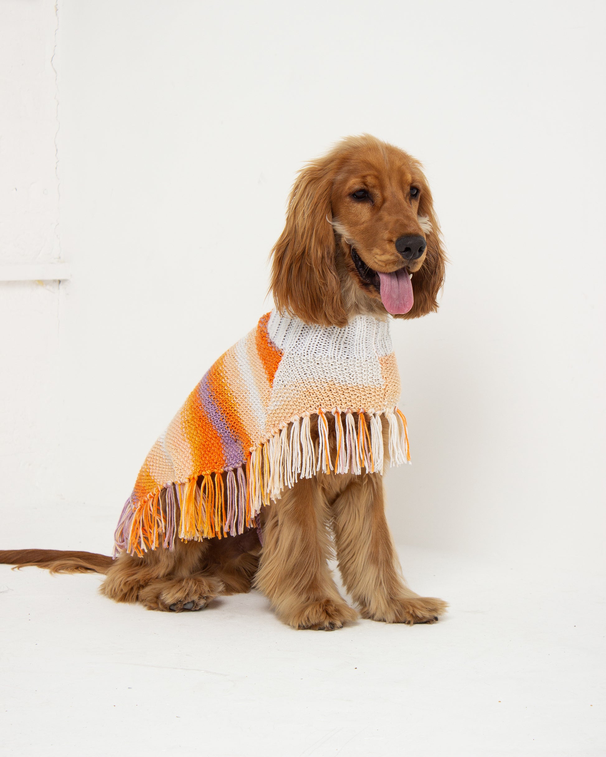 Sunset Dog Poncho