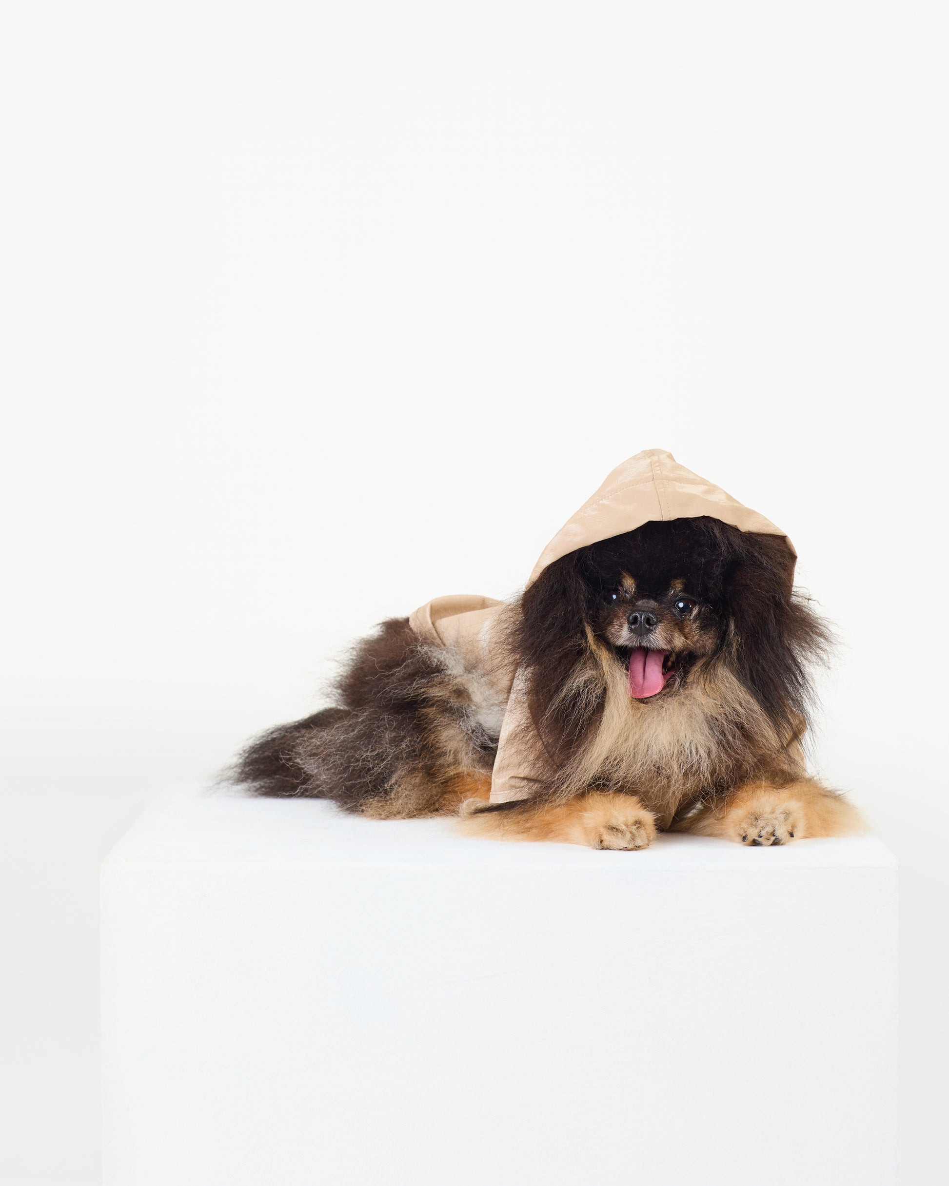 Ivory Raincoat