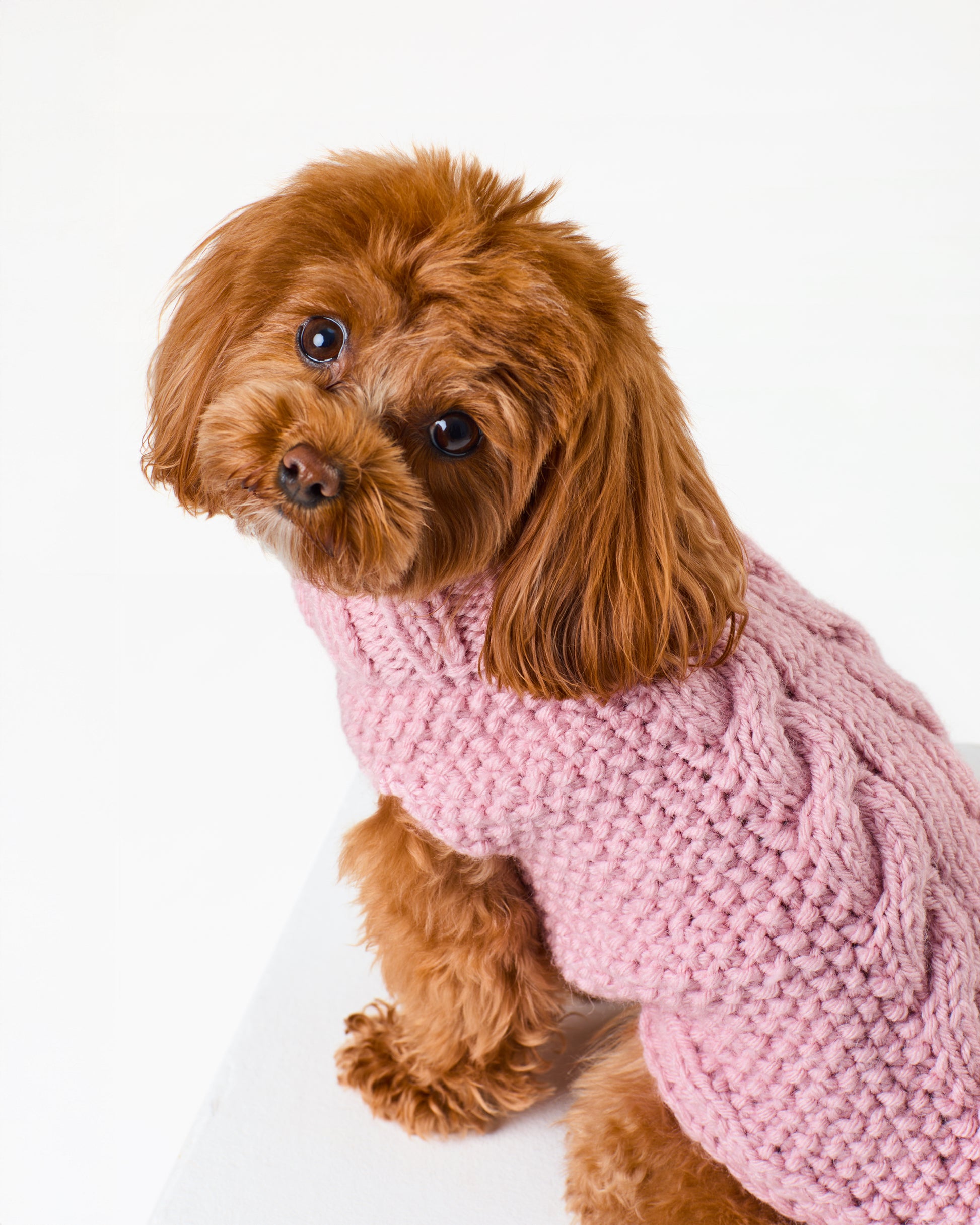 Rose Jumper