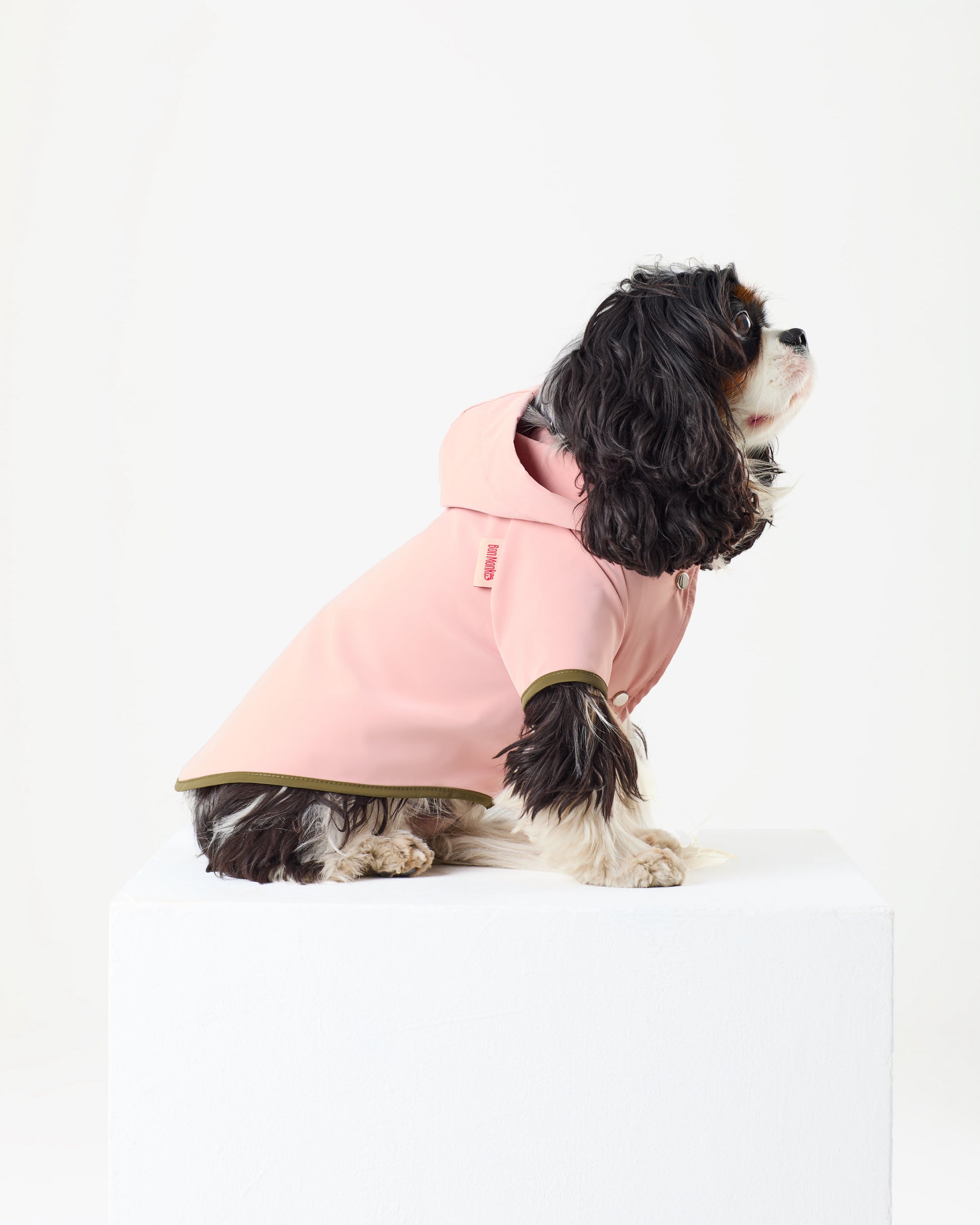Bubblegum Raincoat