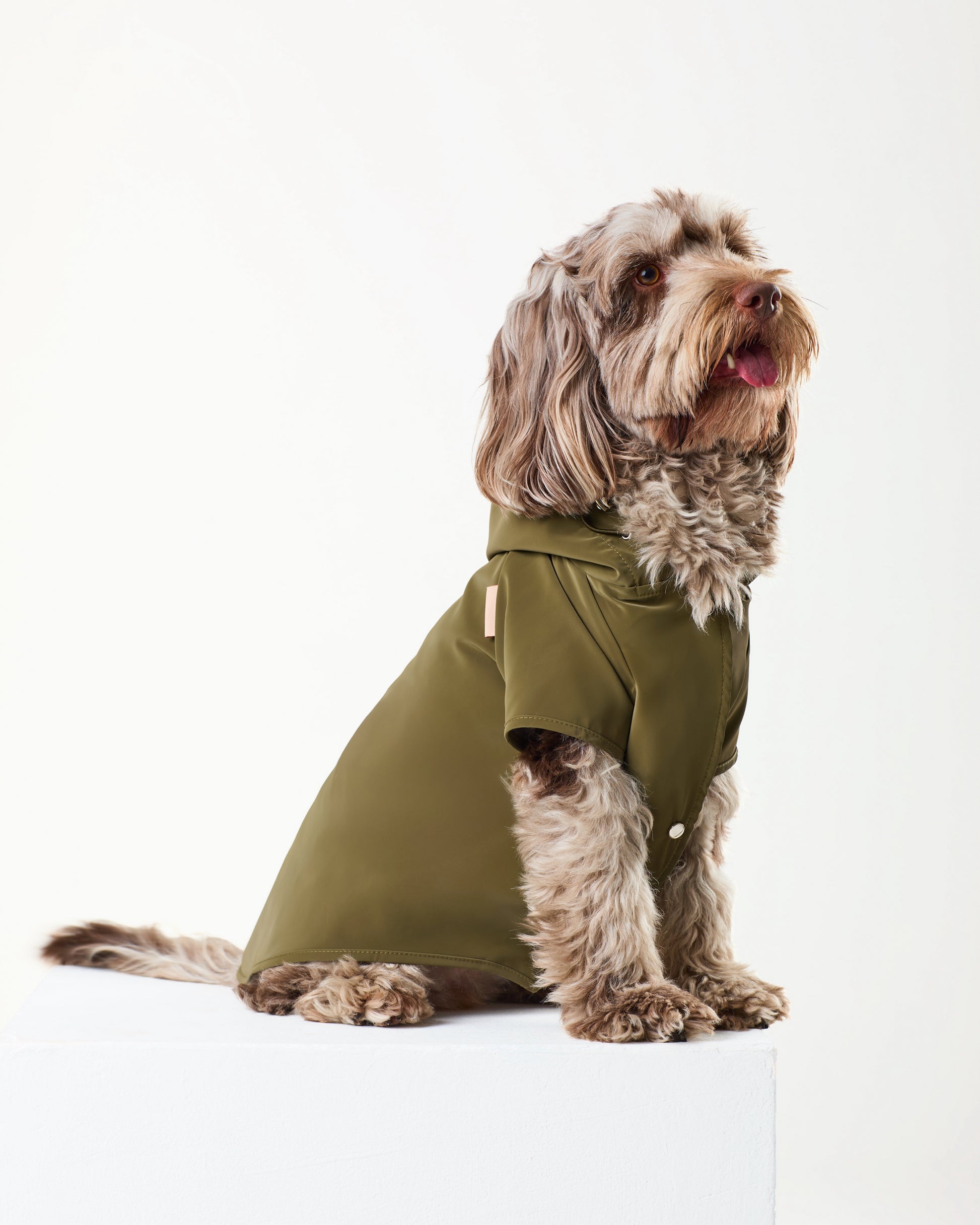 Khaki Raincoat