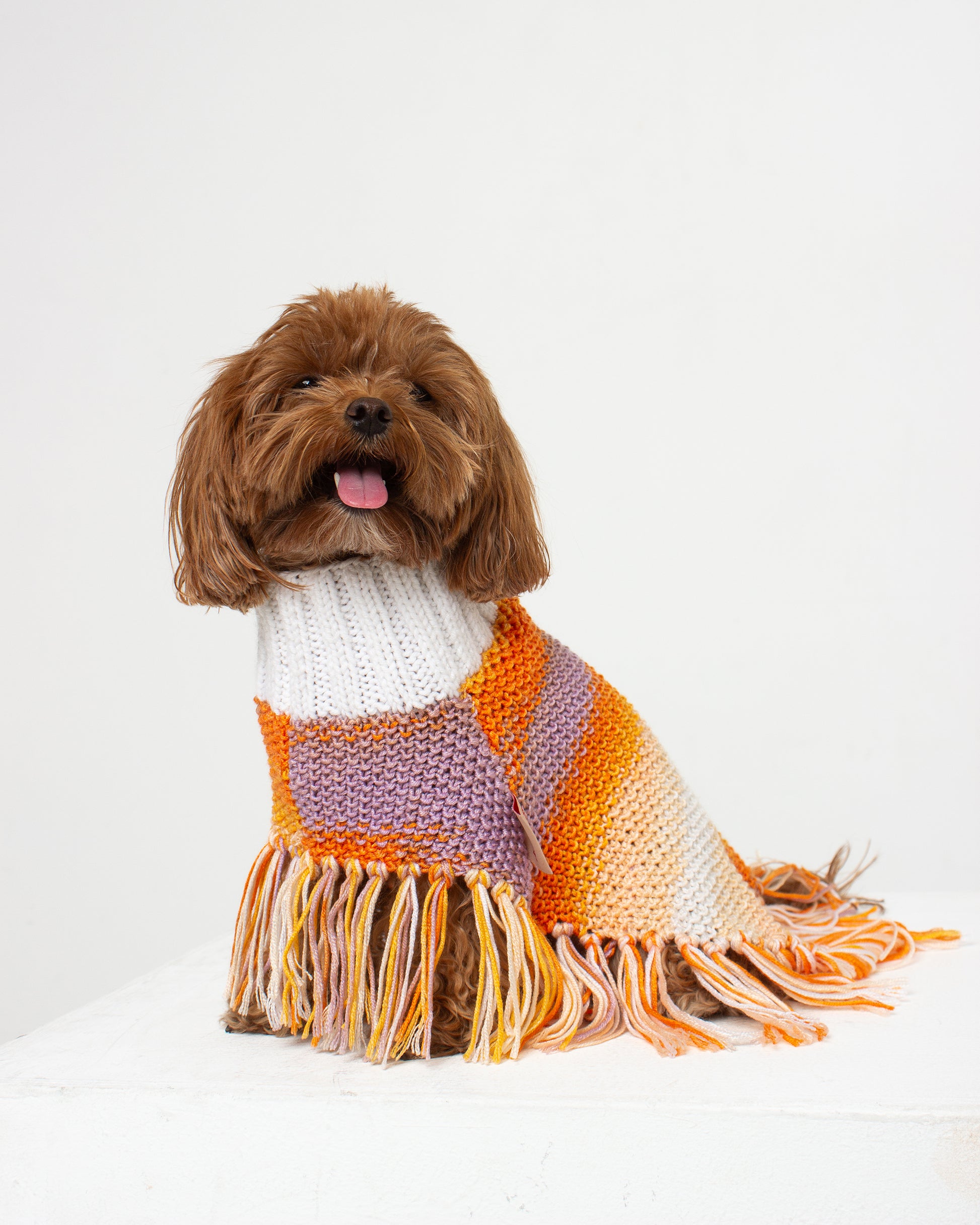 Sunset Dog Poncho