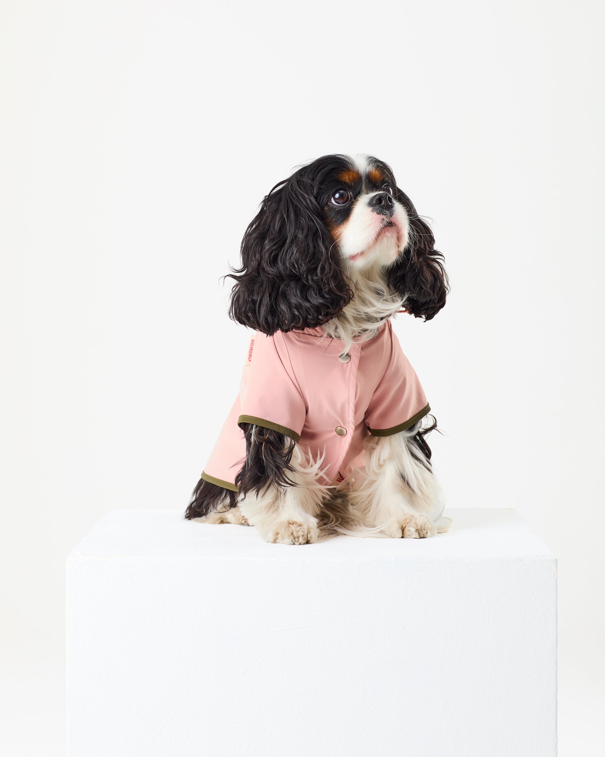Bubblegum Raincoat