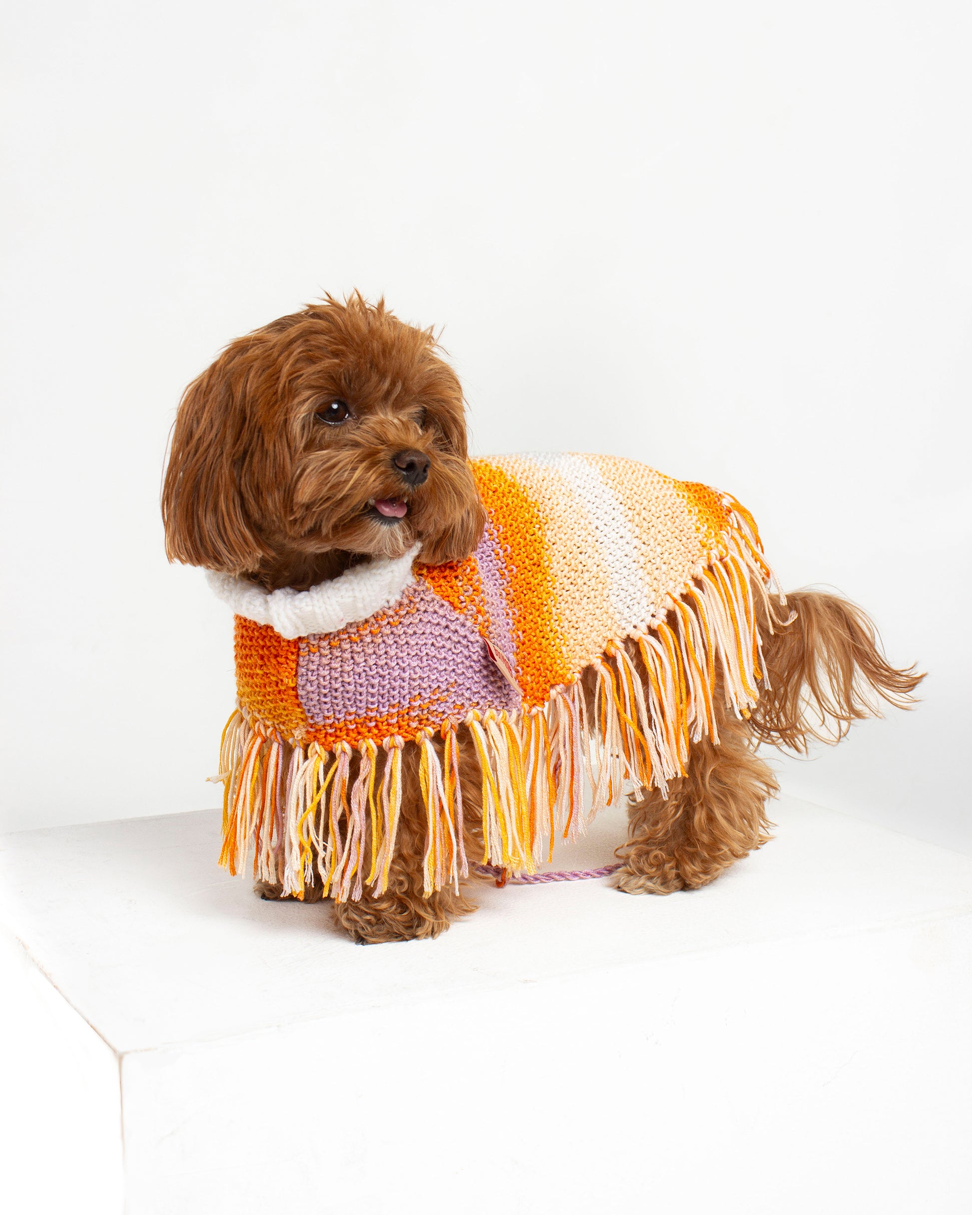 Sunset Dog Poncho
