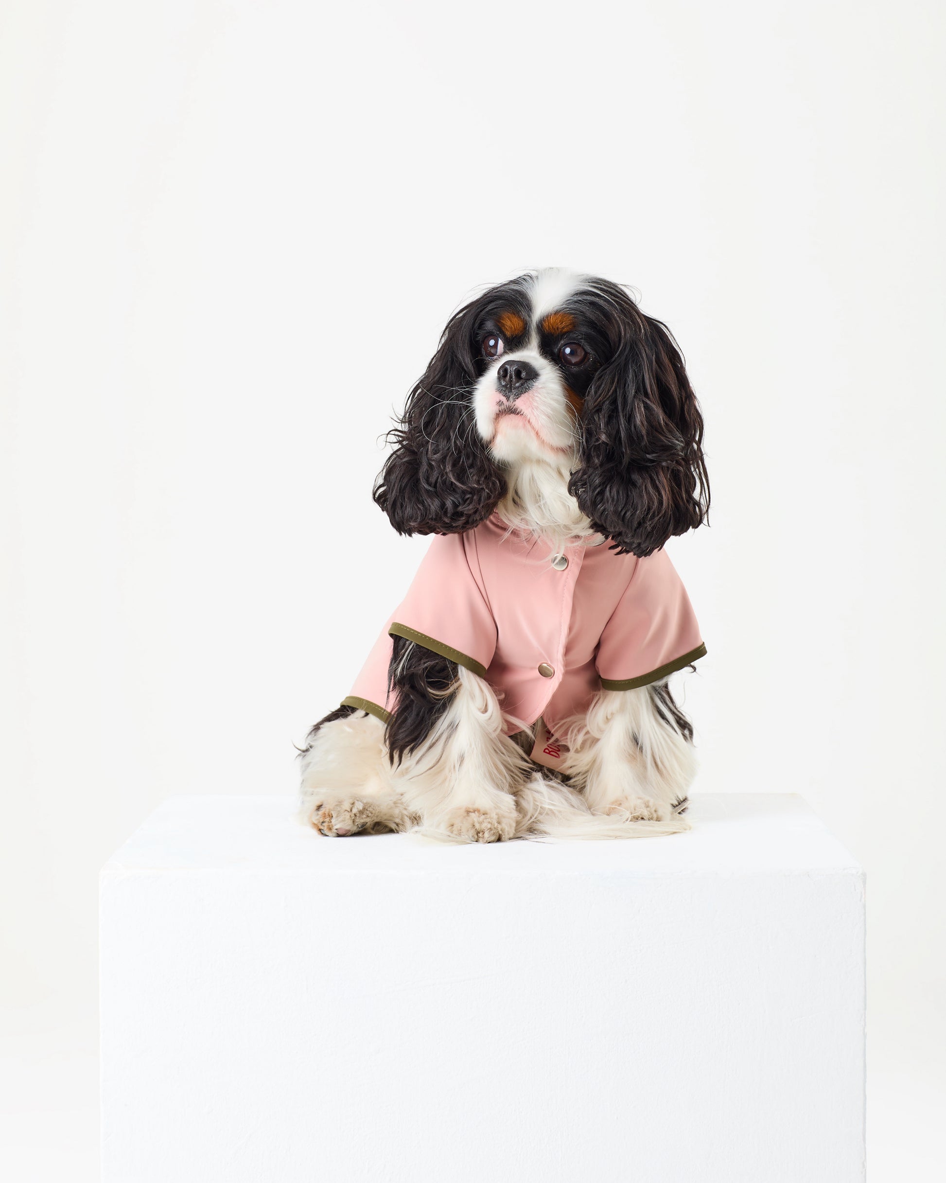 Bubblegum Raincoat