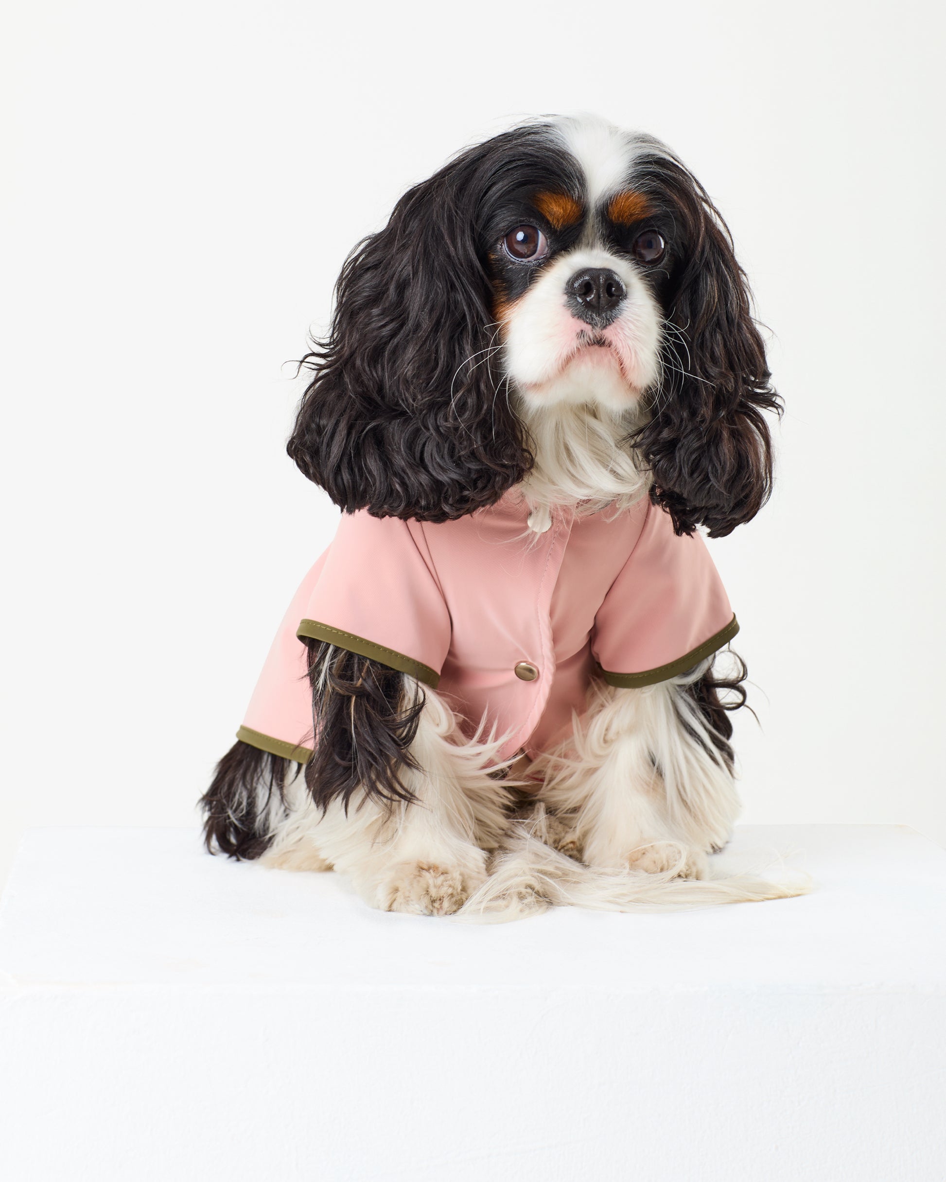 Bubblegum Raincoat