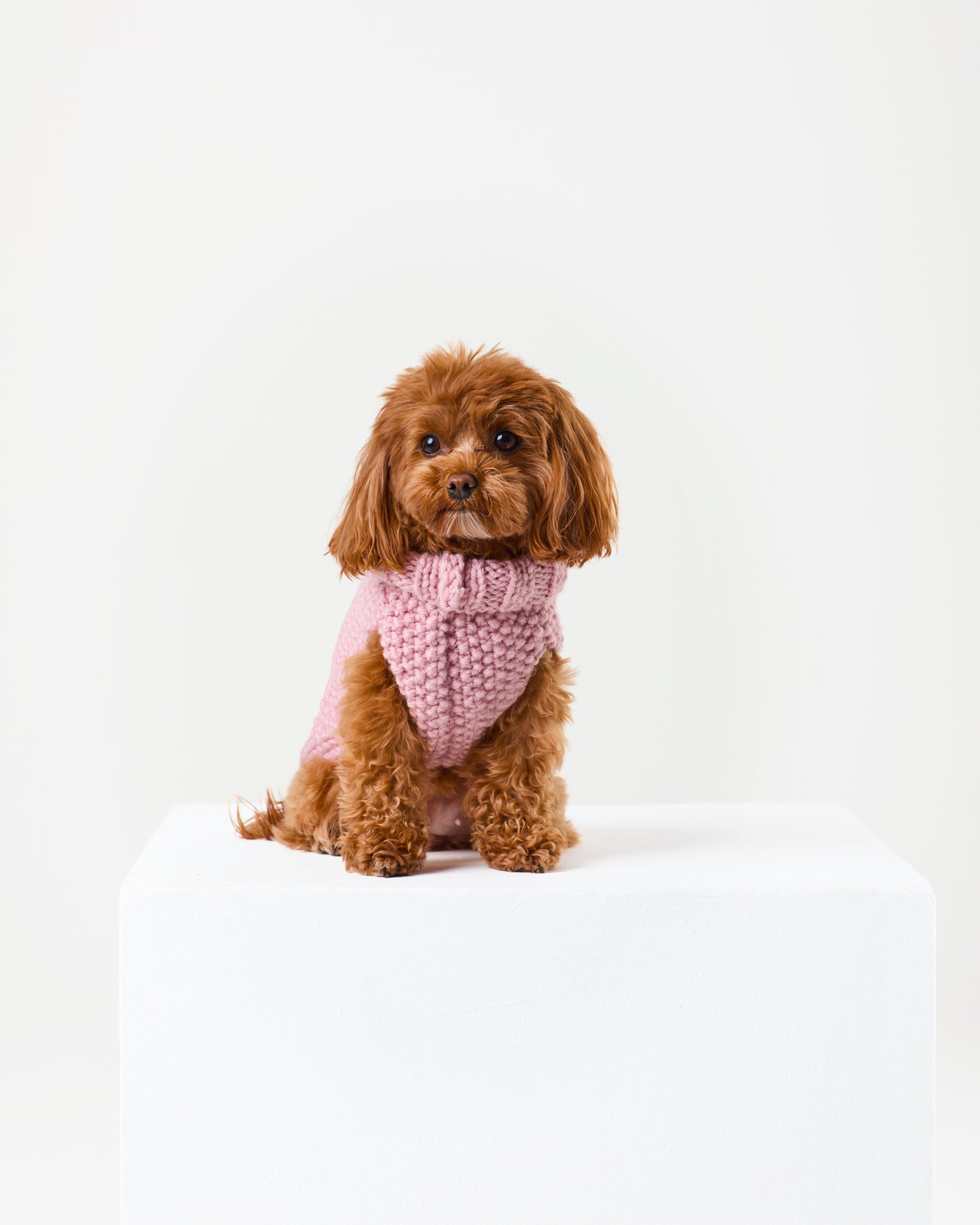 Rose Jumper
