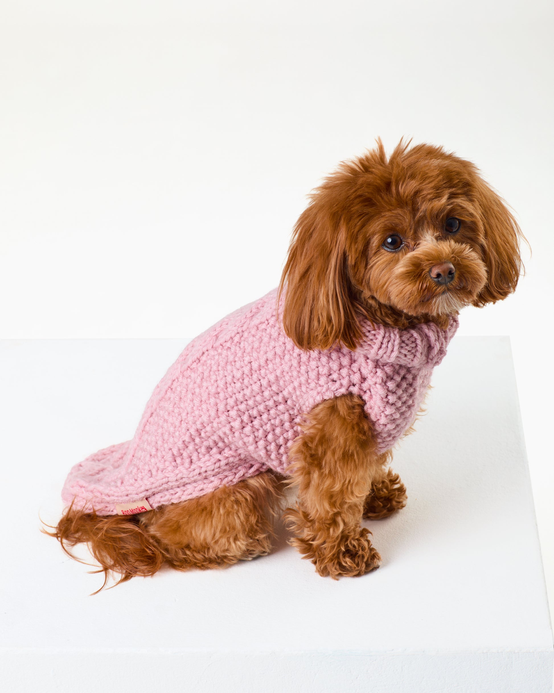 Rose Jumper