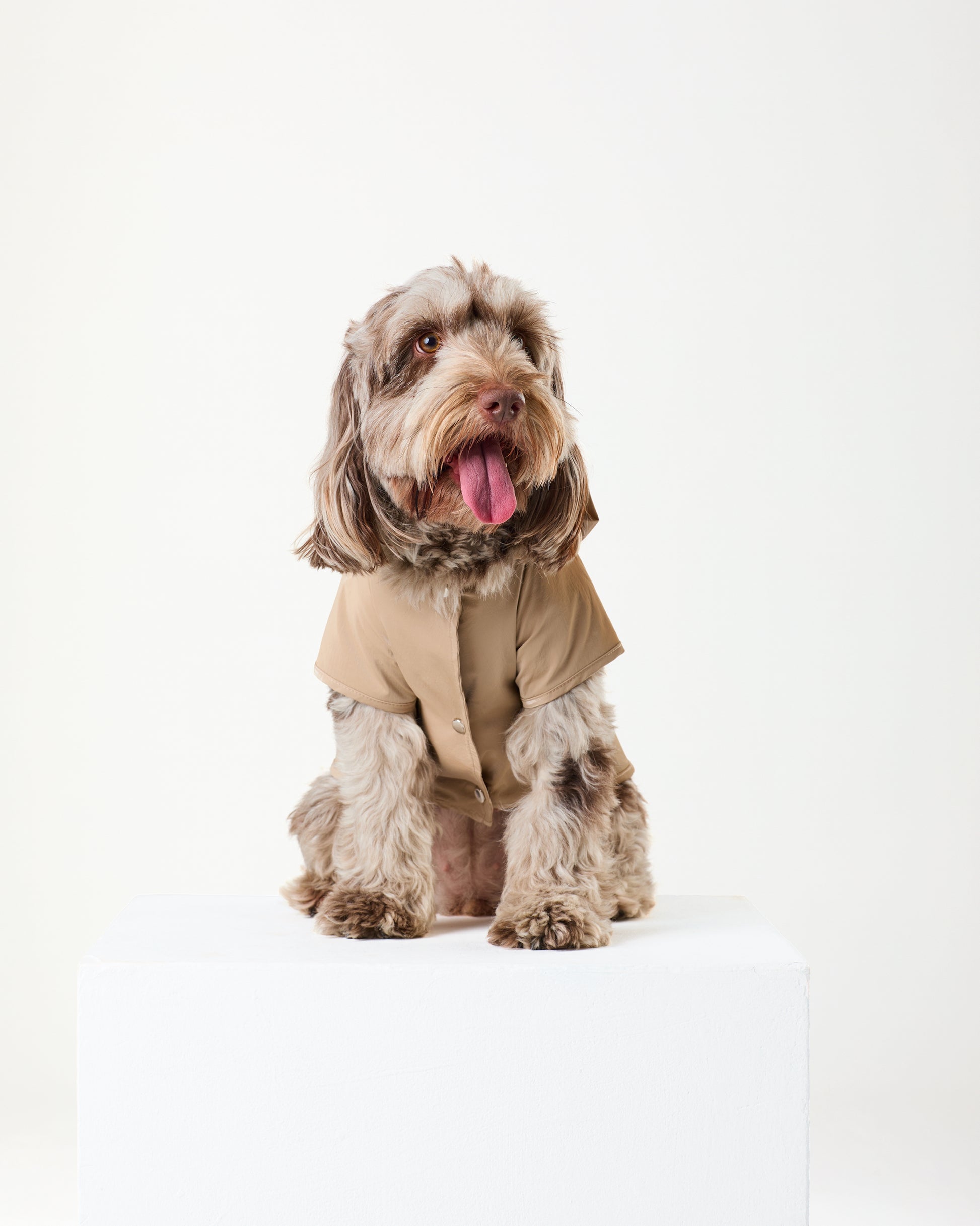 Ivory Raincoat