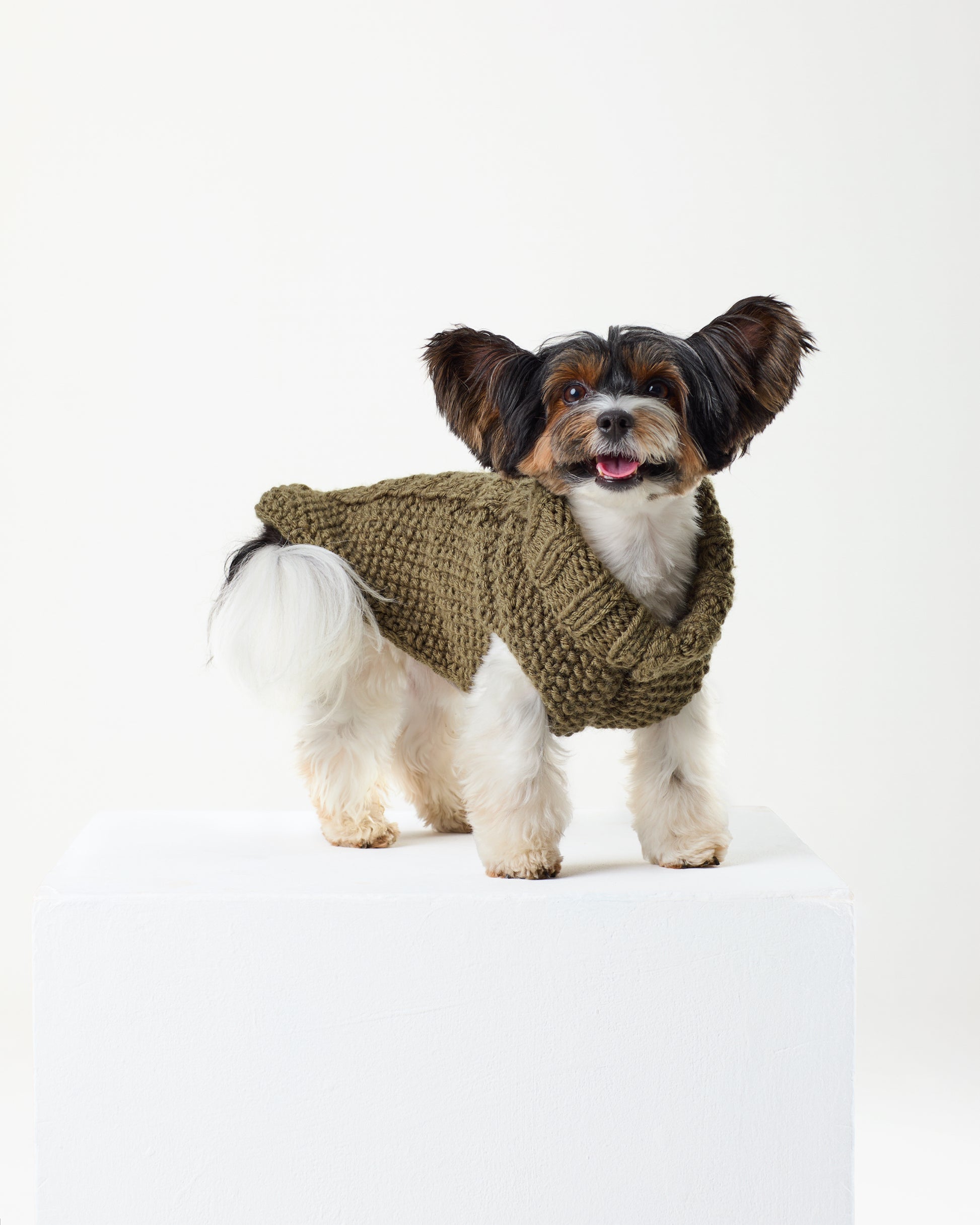 Olive Jumper