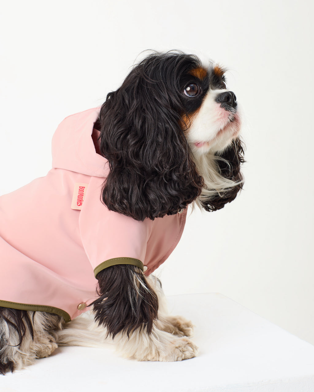 Bubblegum Raincoat