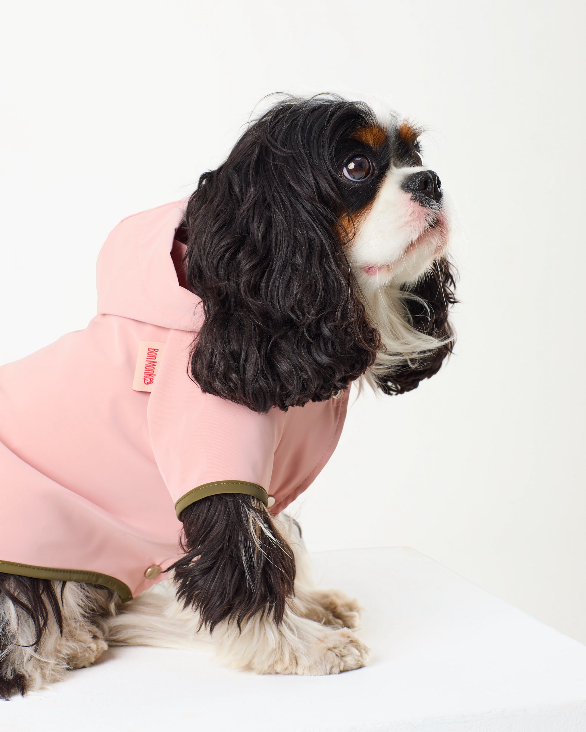 Bubblegum Raincoat