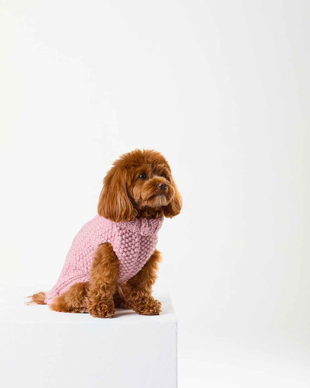 Rose Jumper