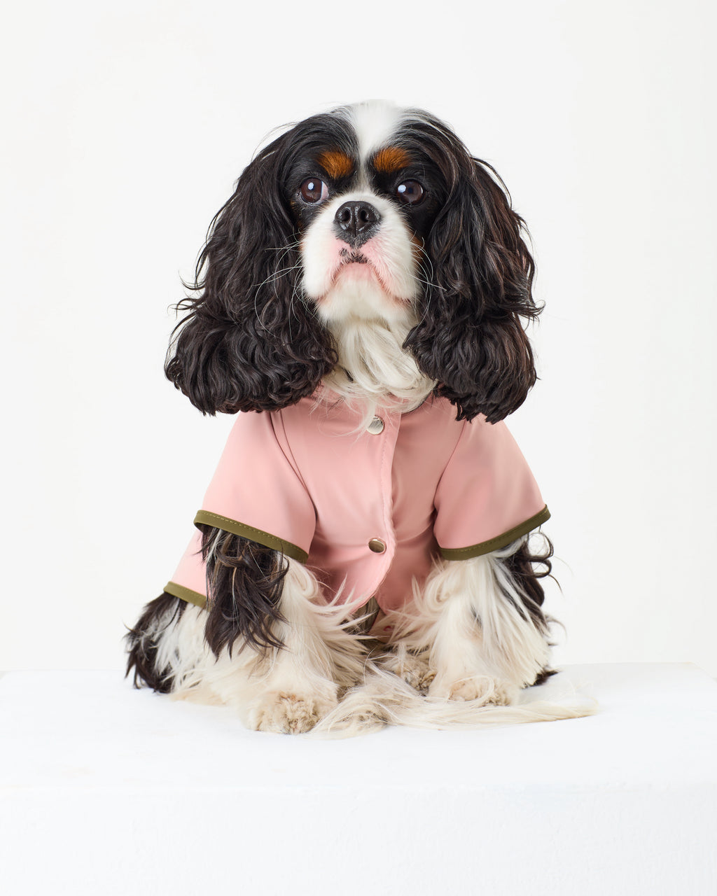 Bubblegum Raincoat