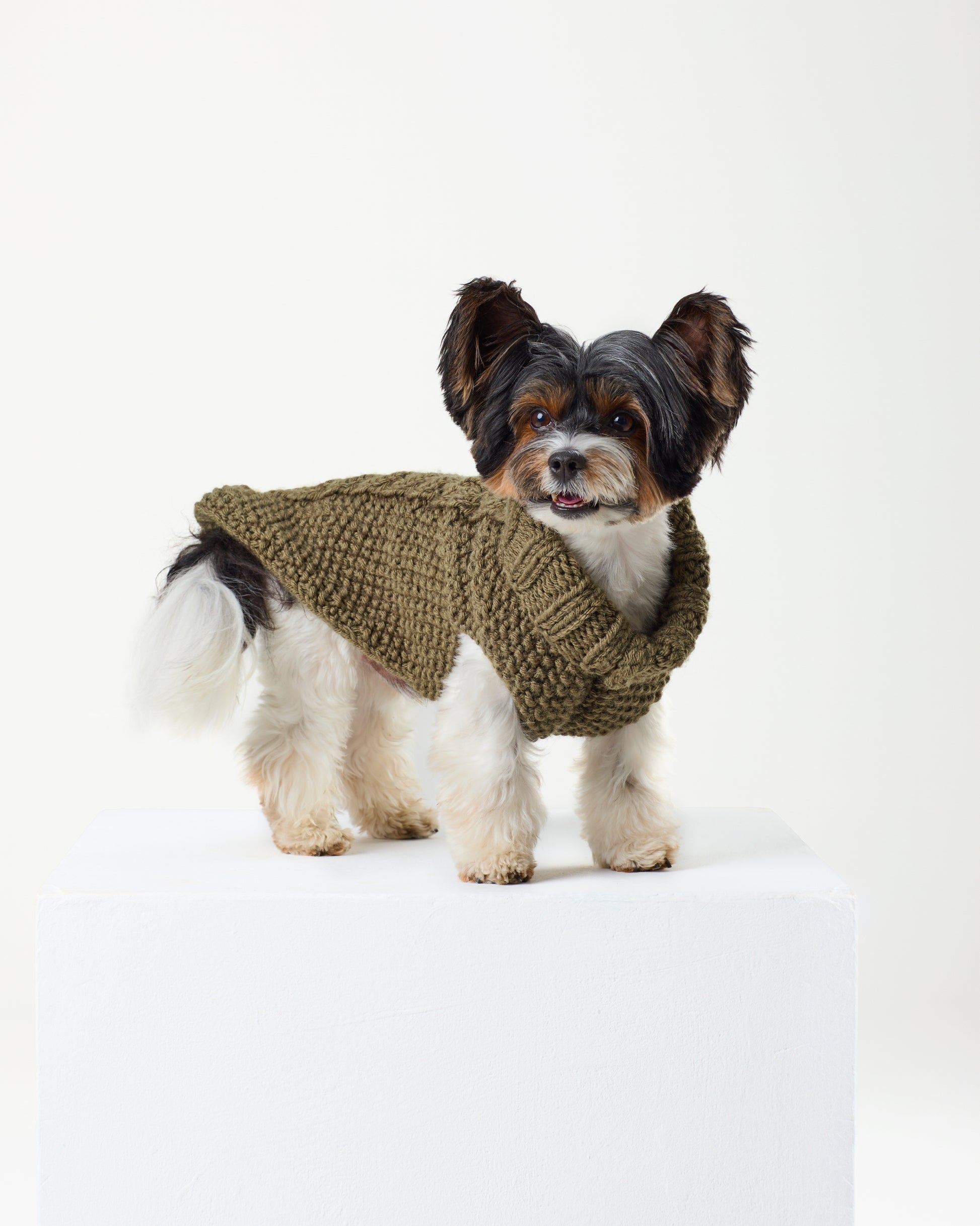Olive Jumper