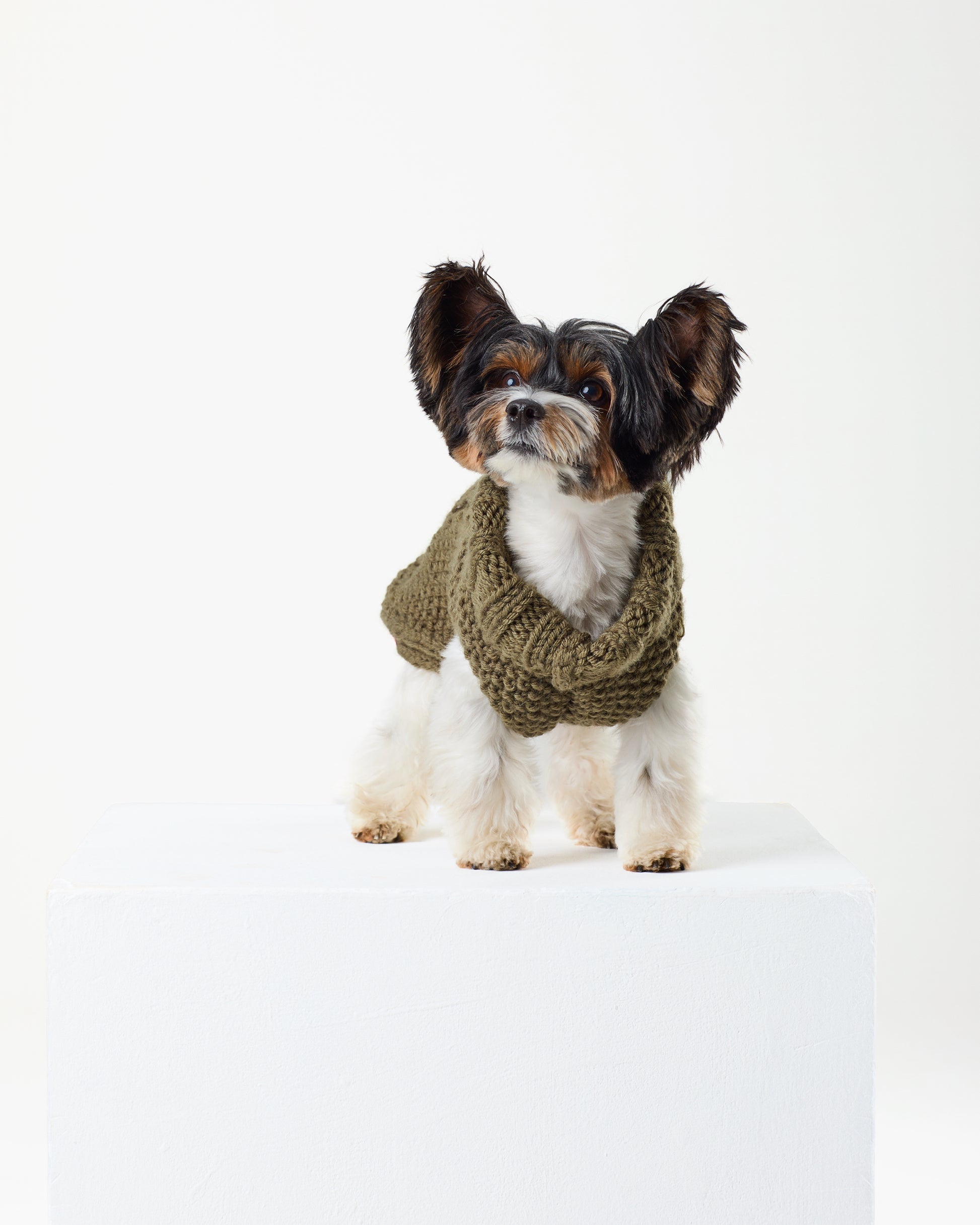 Olive Jumper