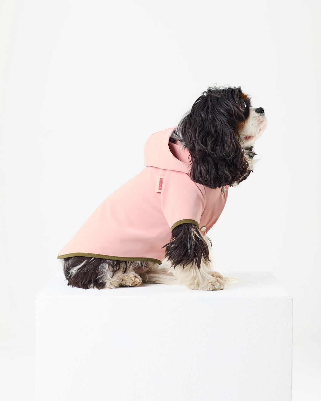 Bubblegum Raincoat