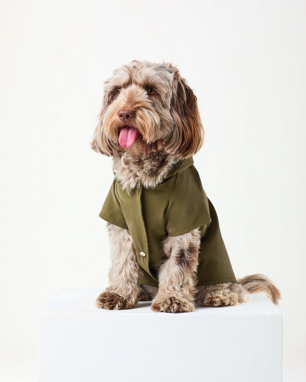 Khaki Raincoat