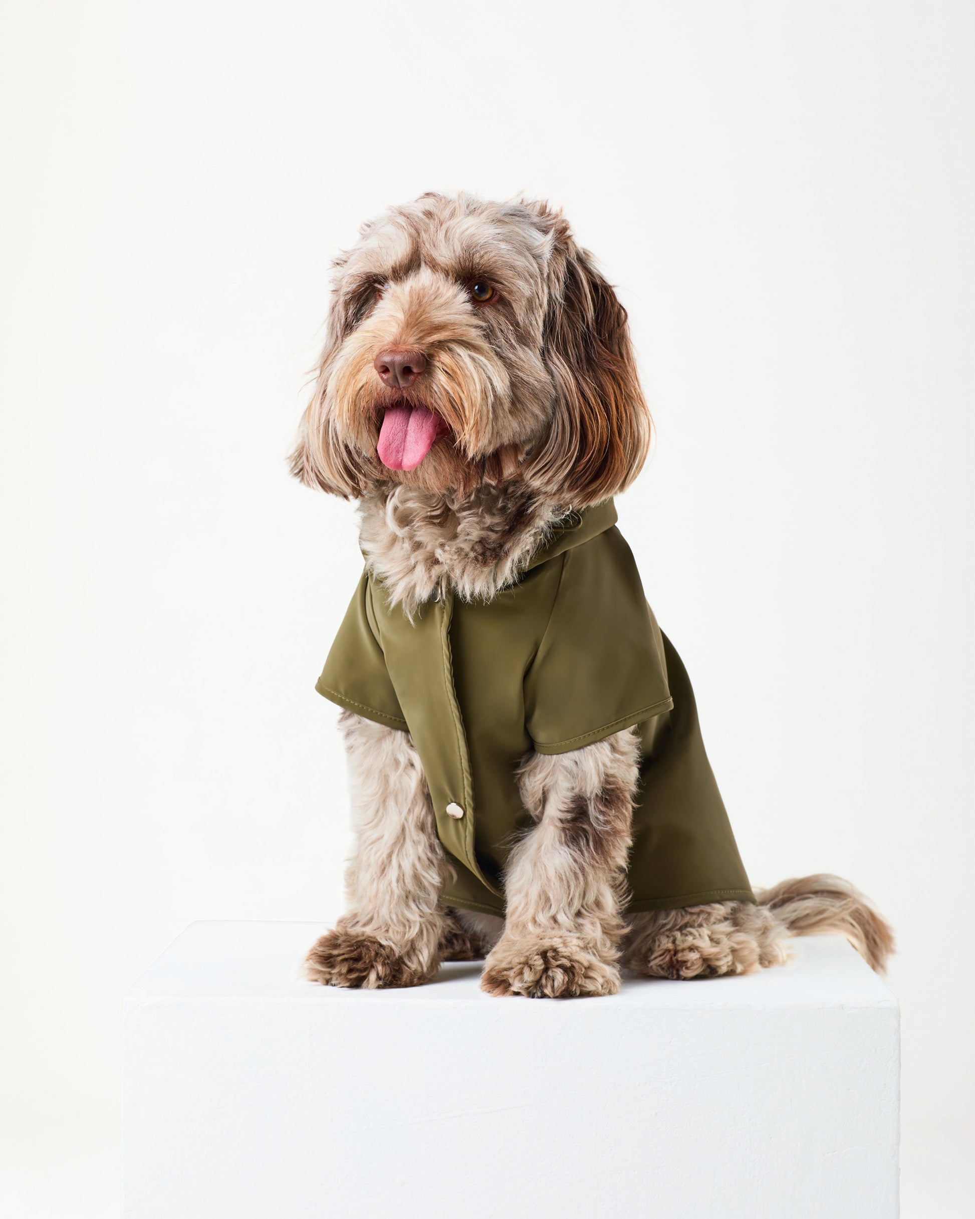Khaki Raincoat