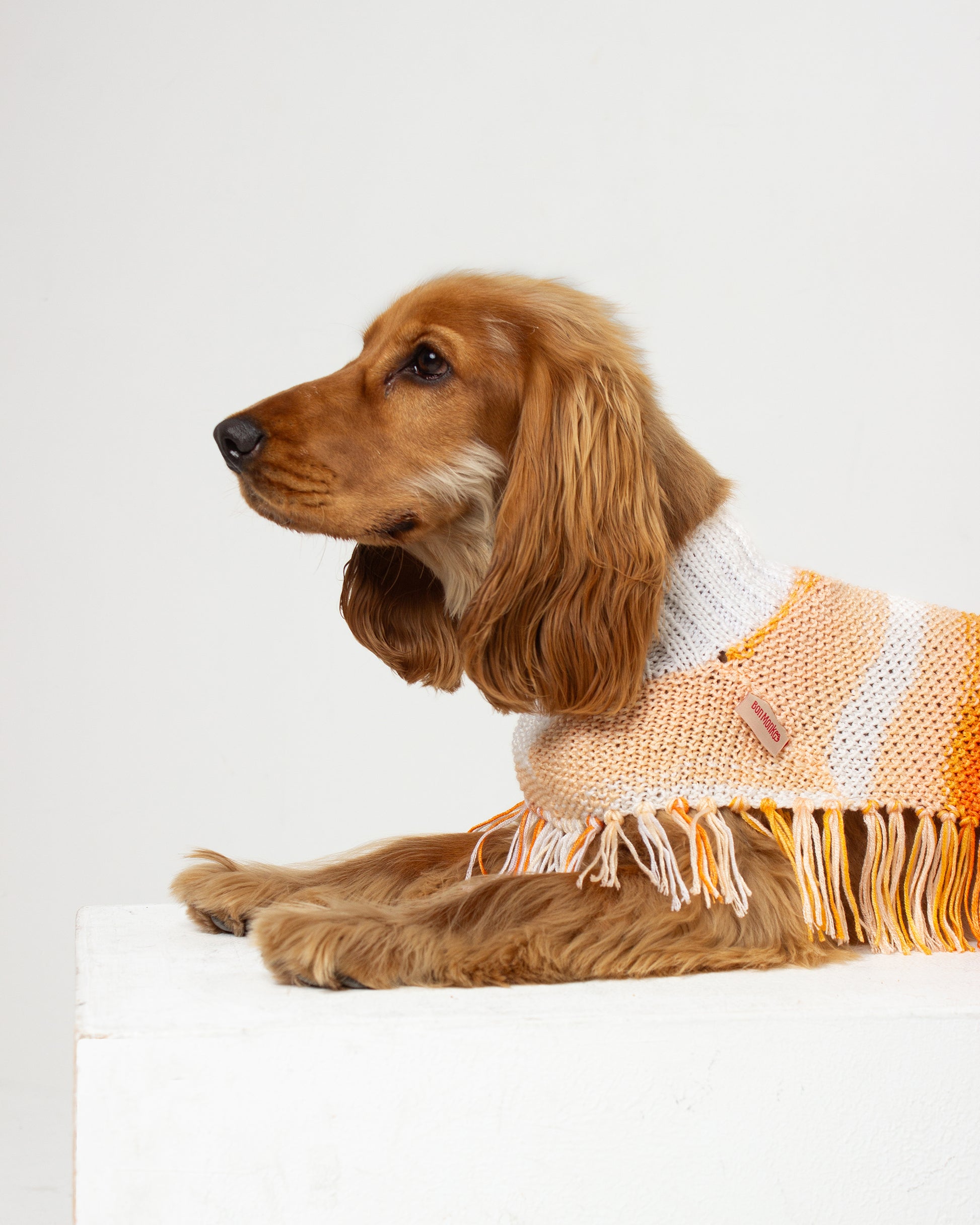 Sunset Dog Poncho