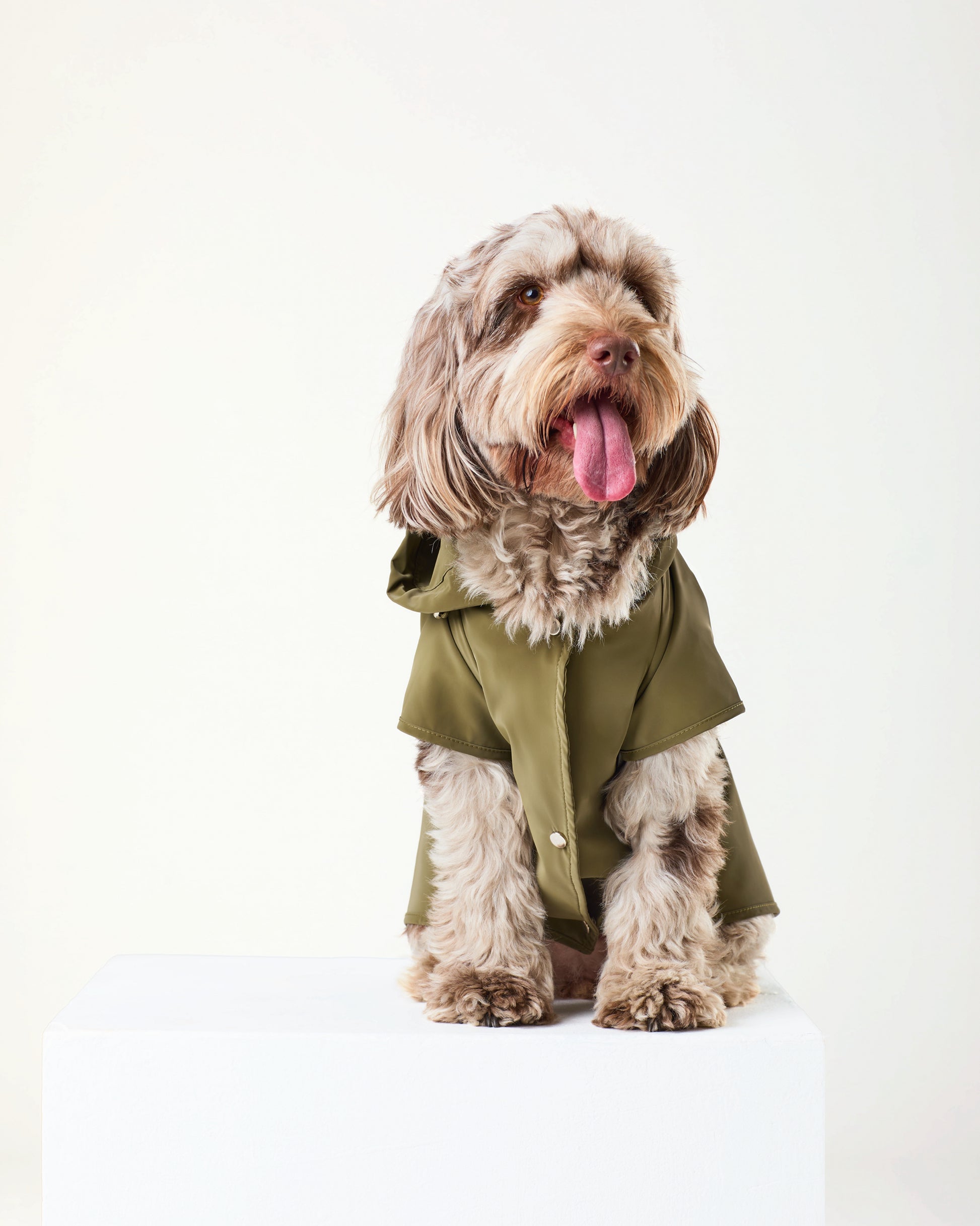 Khaki Raincoat